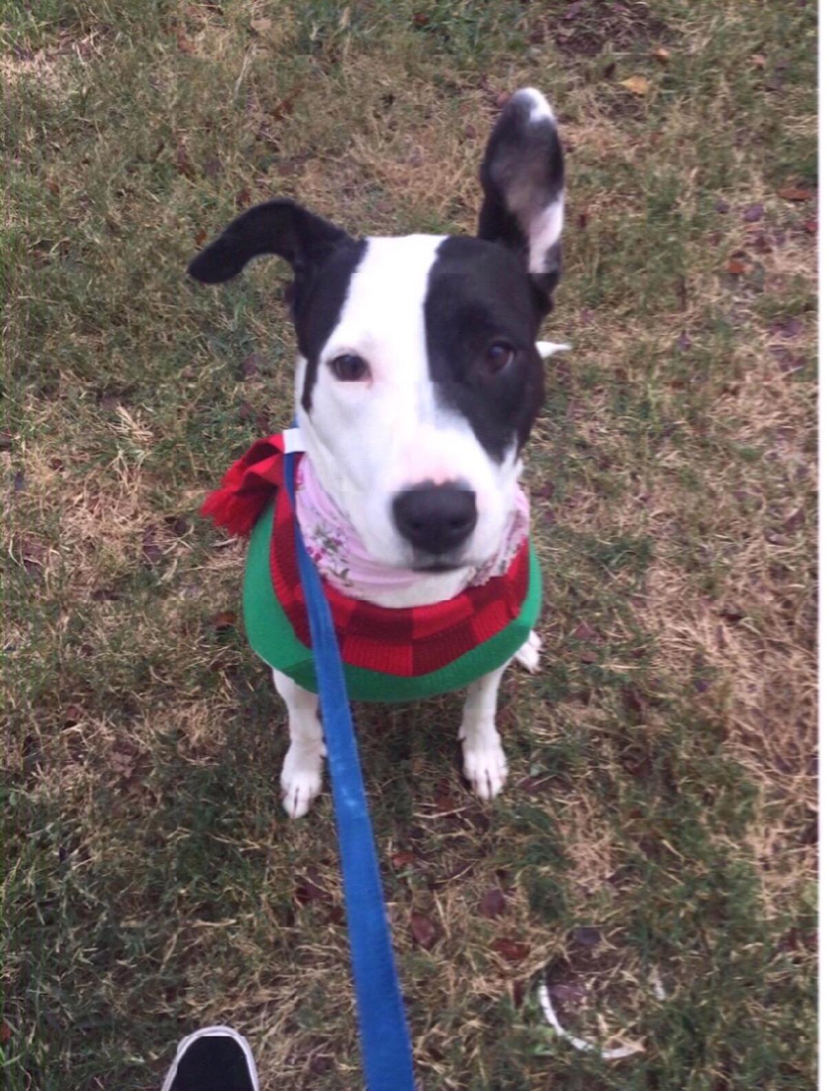 Molly, my first love!