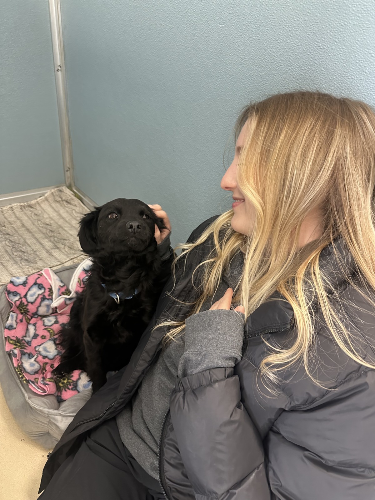 Cat Person Turned Dog Enthusiast