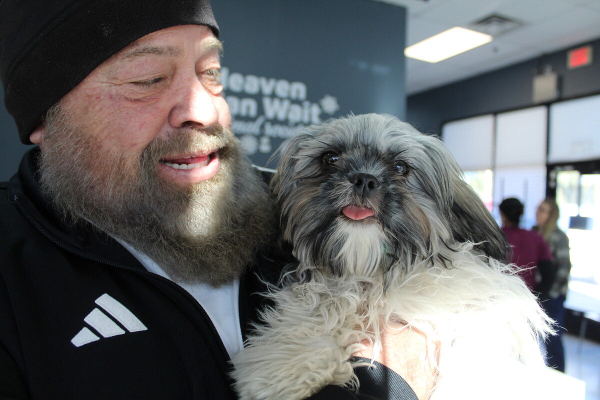 Little Billy was neutered, vaccinated, & microchipped thanks to the Romeo Fund.