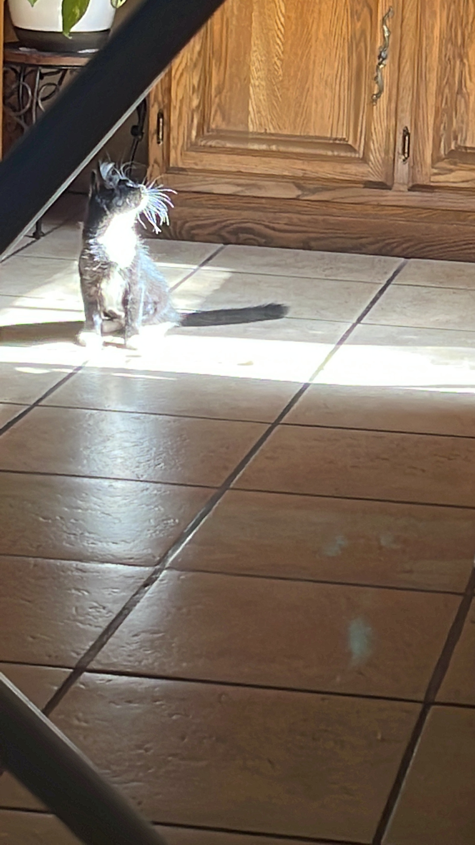 Zola's First Sun Beam