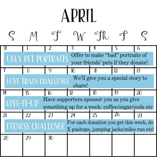 April Fundraising Challenges