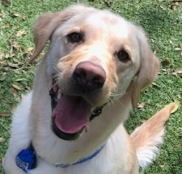 Playtime!