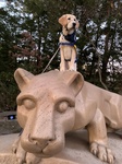 Scout visits Penn State