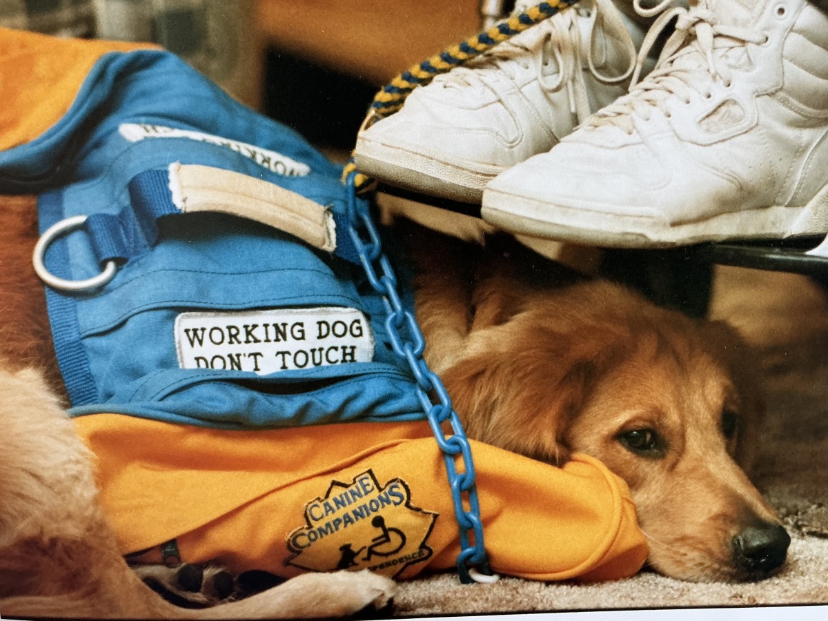 Rex is ready to help.