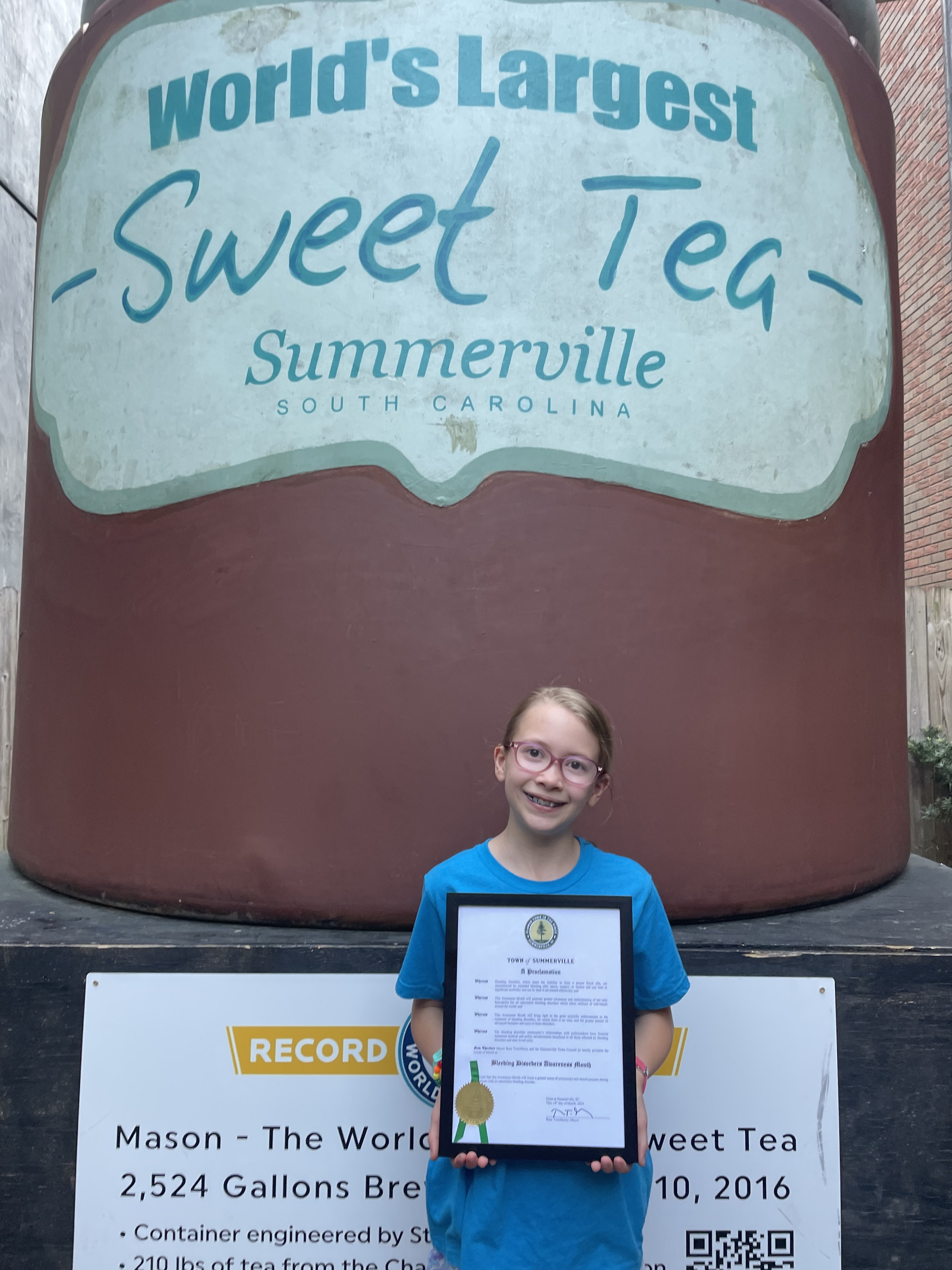 The Town of Summerville