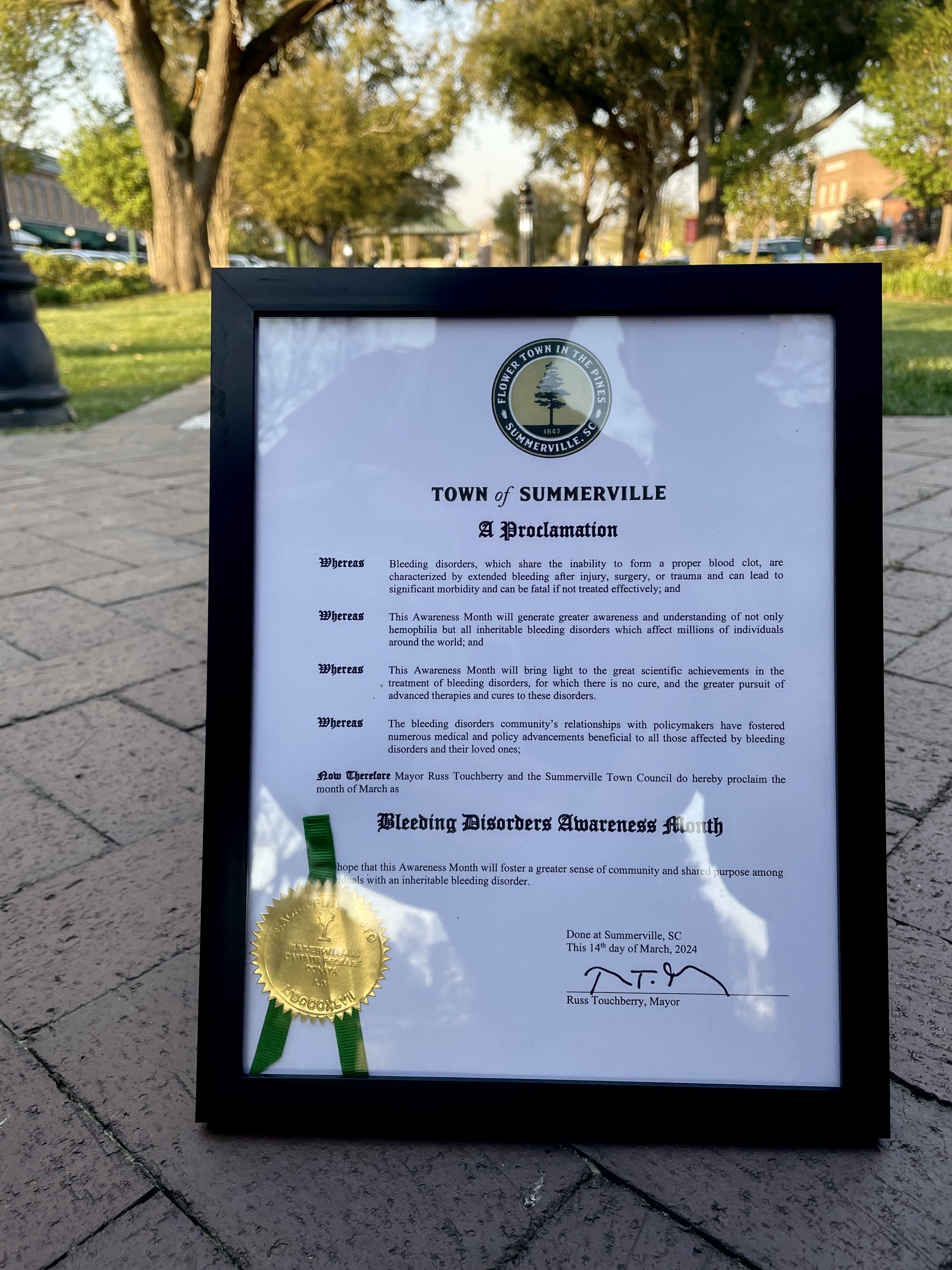 The Town of Summerville