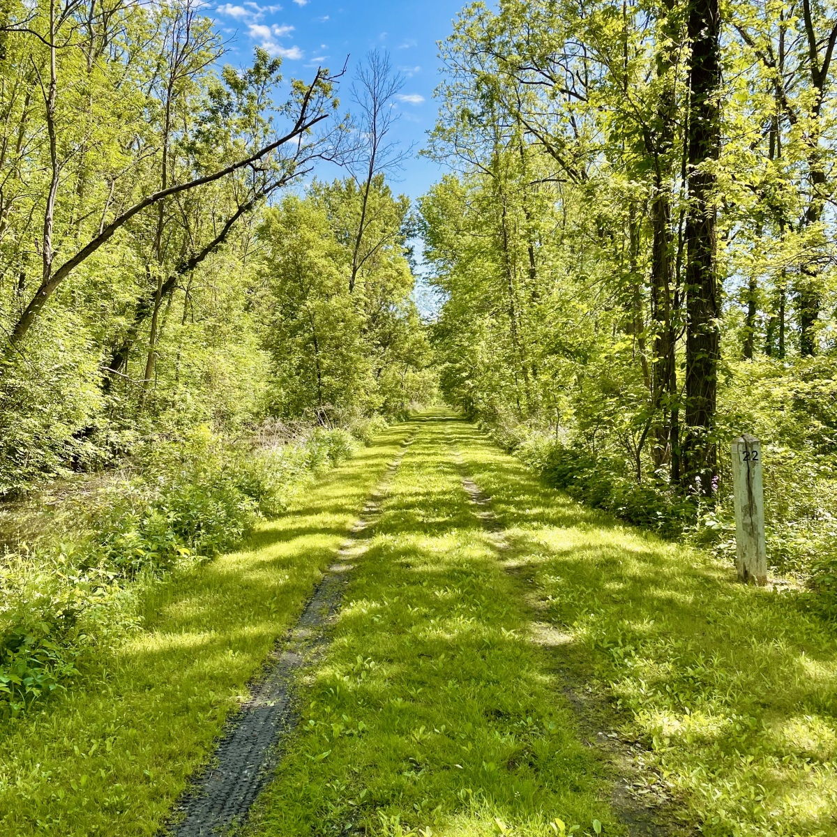 Livingston County