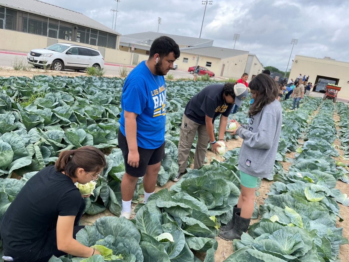 Burbank FFA