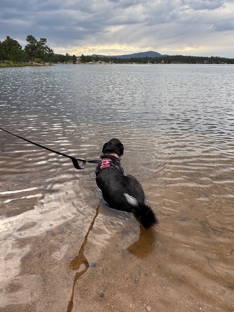 Honey, there’s nothing more chic than me, soaking up those golden sunset vibes—because even a queen needs her moment to shine in the spotlight!