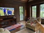 Sarge VI watching TV show on dog training