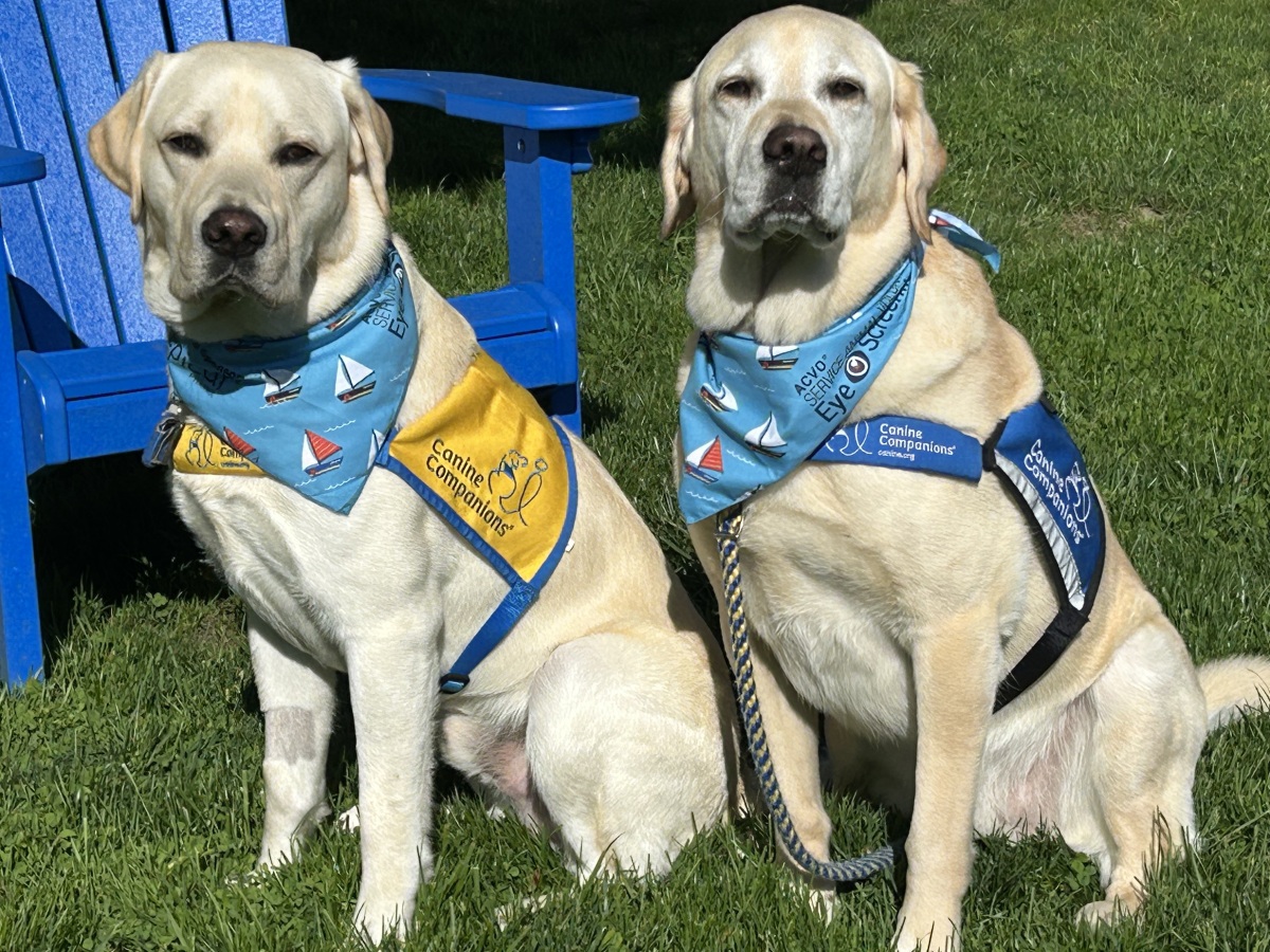 Mentor JJ and Pupoy, Sutton