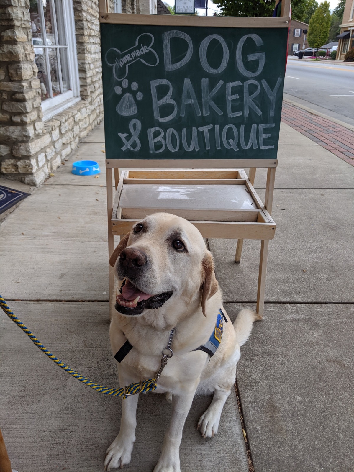 Mama, can I have a treat?? Can we get one from here? :)