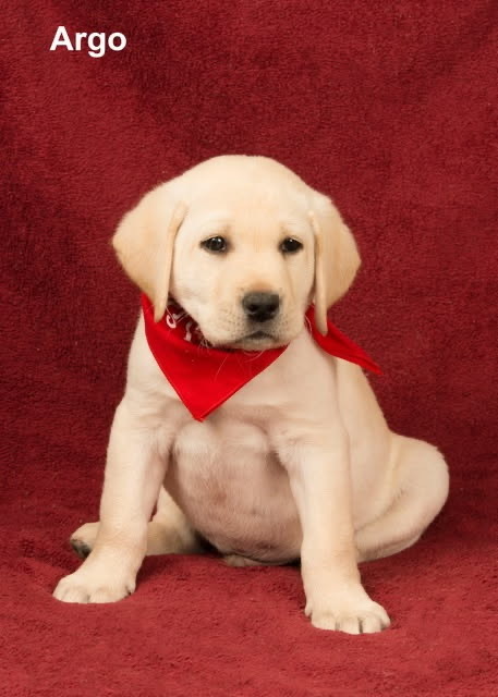 AWWWWWWWWW So adorable.