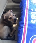 She's not in love with car rides