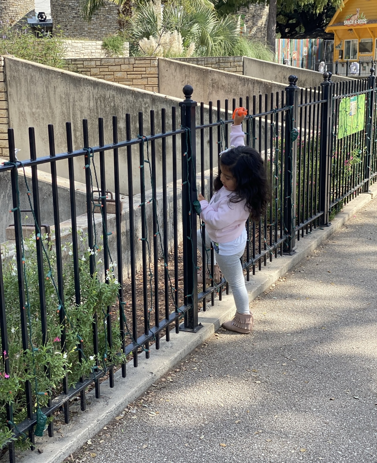 Telling the animals all about my day