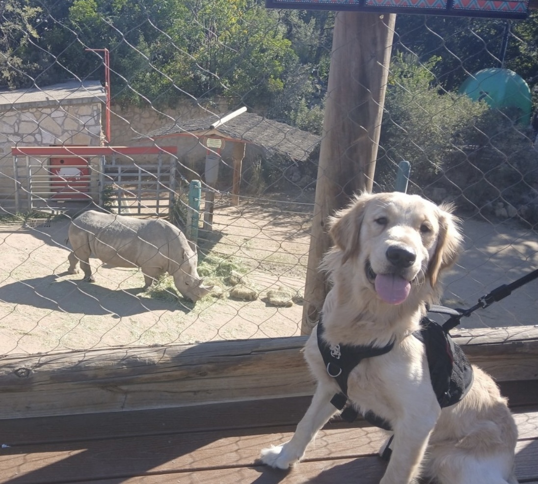 Dog Day at the San Antonio Zoo 2025