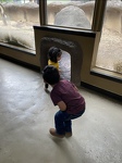 Taking my first steps at the zoo!