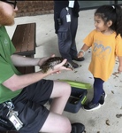 Animal encounters are my favorite!