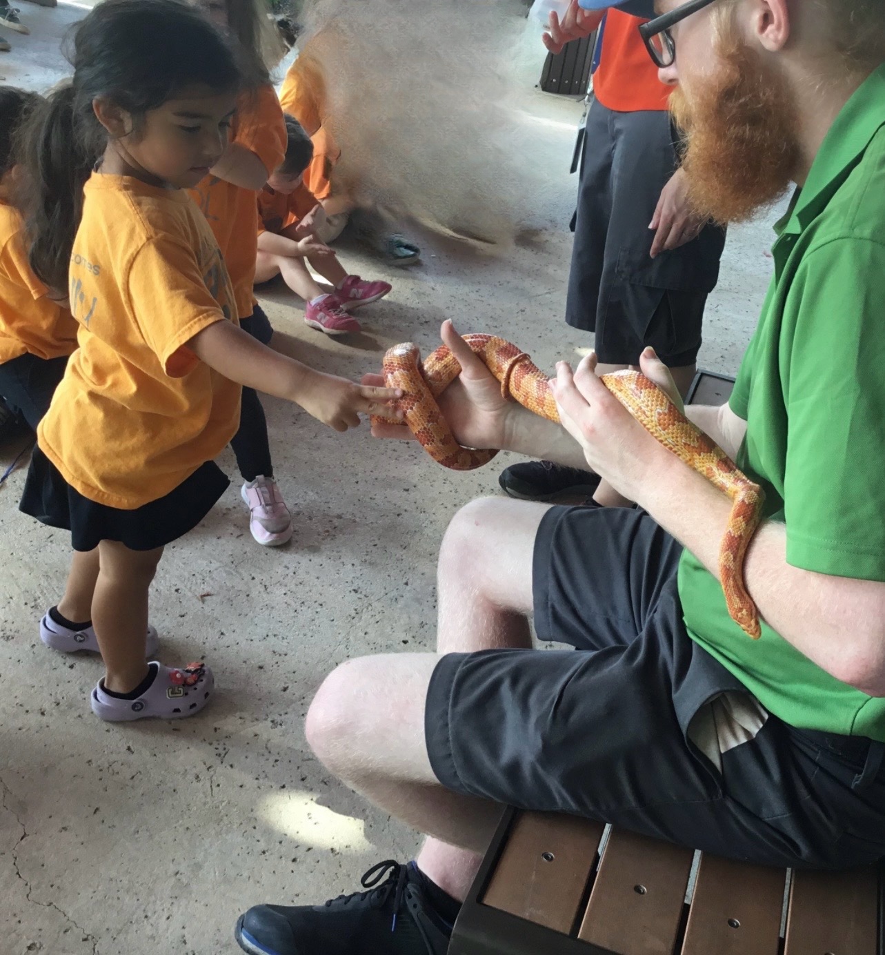 Learning to be brave!