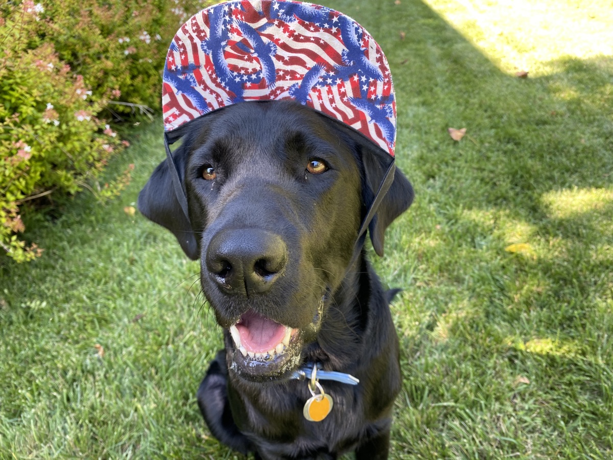 Patton IV celebrating July 4th