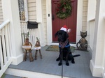 Nando II in holiday gear.
