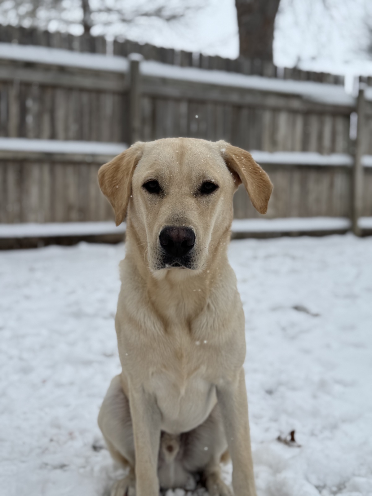 Snow day