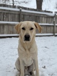 Snow day