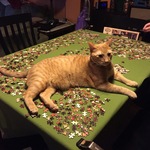 "Help" with passtimes