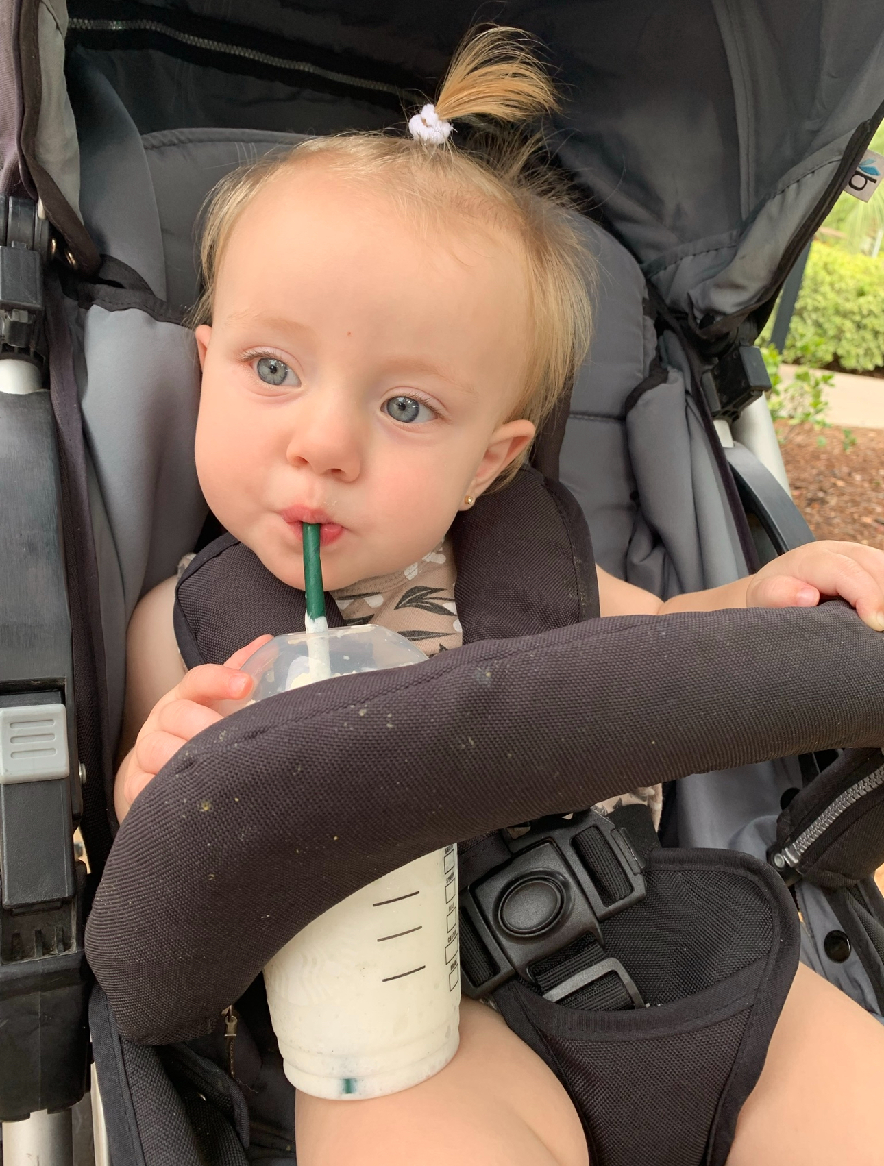 1st Frappuccino at San Antonio Zoo Starbucks