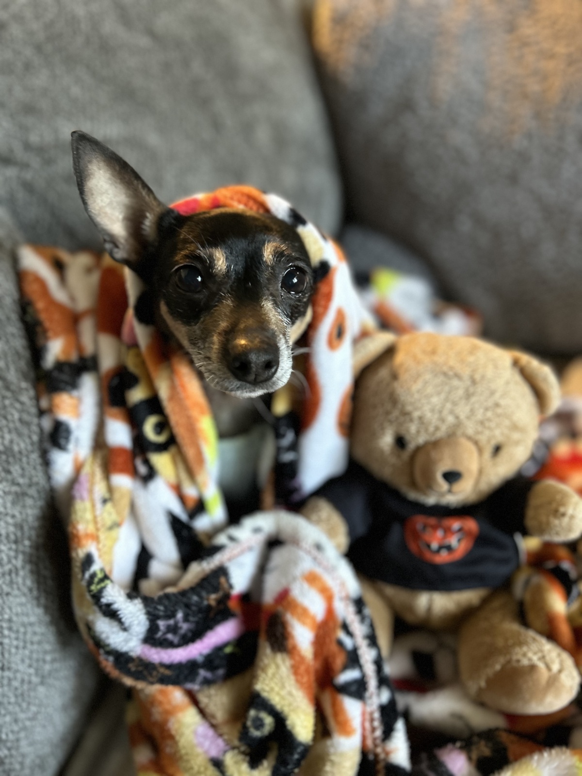 I should be swaddled in blankets always.