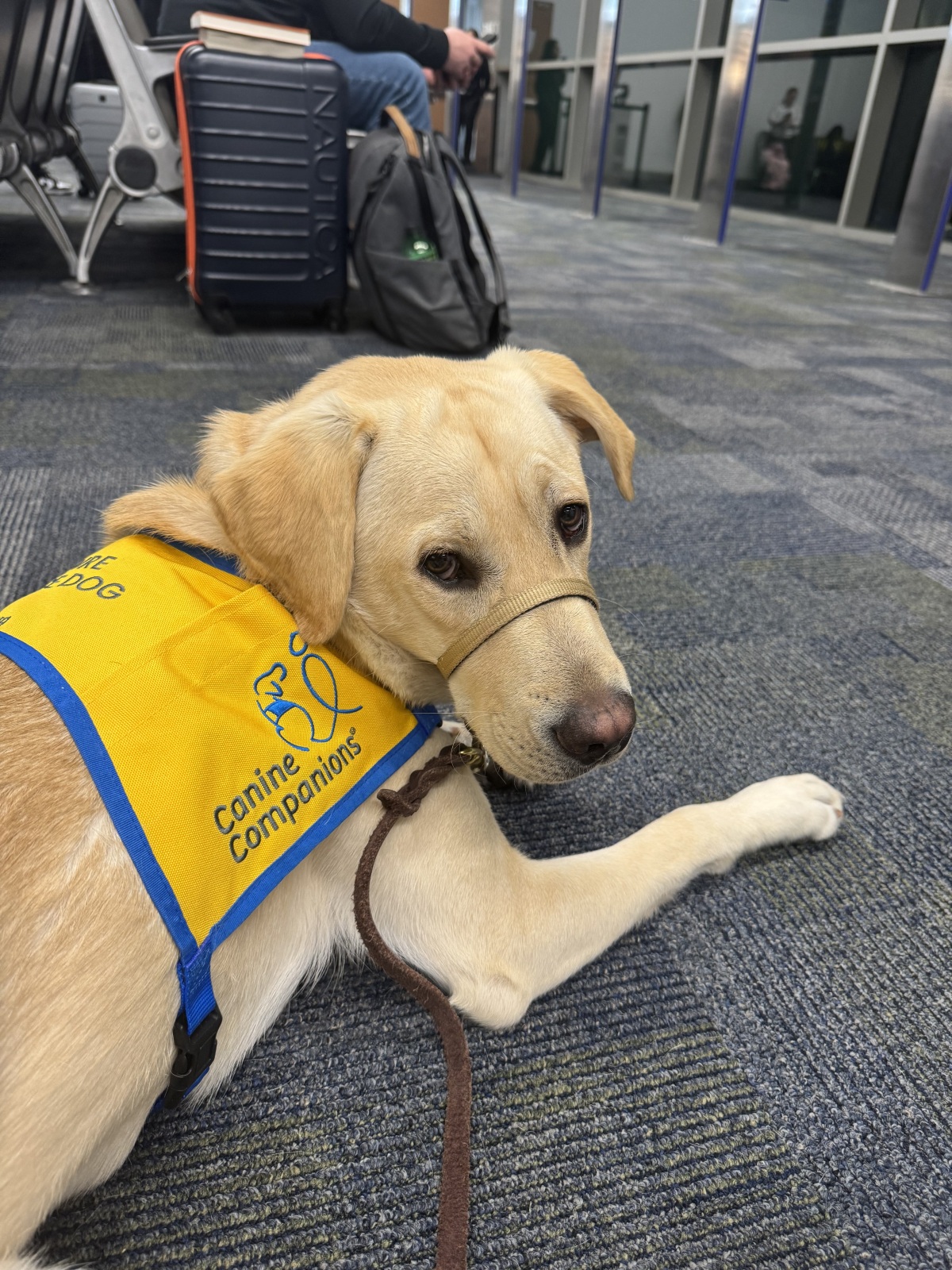 Airport travel