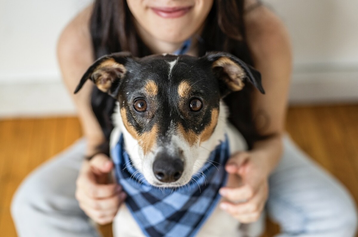 My Pup, Baja!