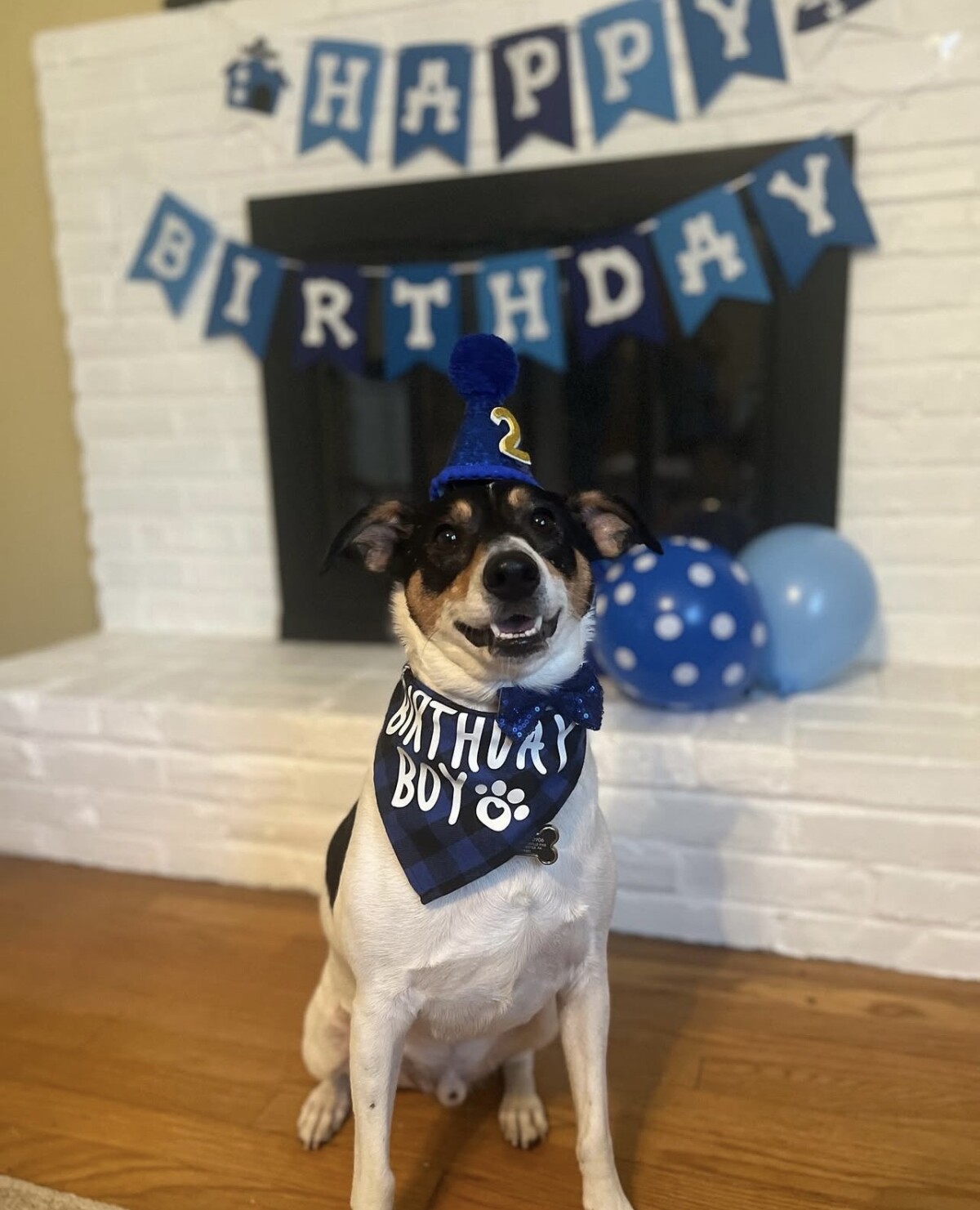 My Second Birthday Party!