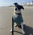 Beach trip to Ocean City, NJ