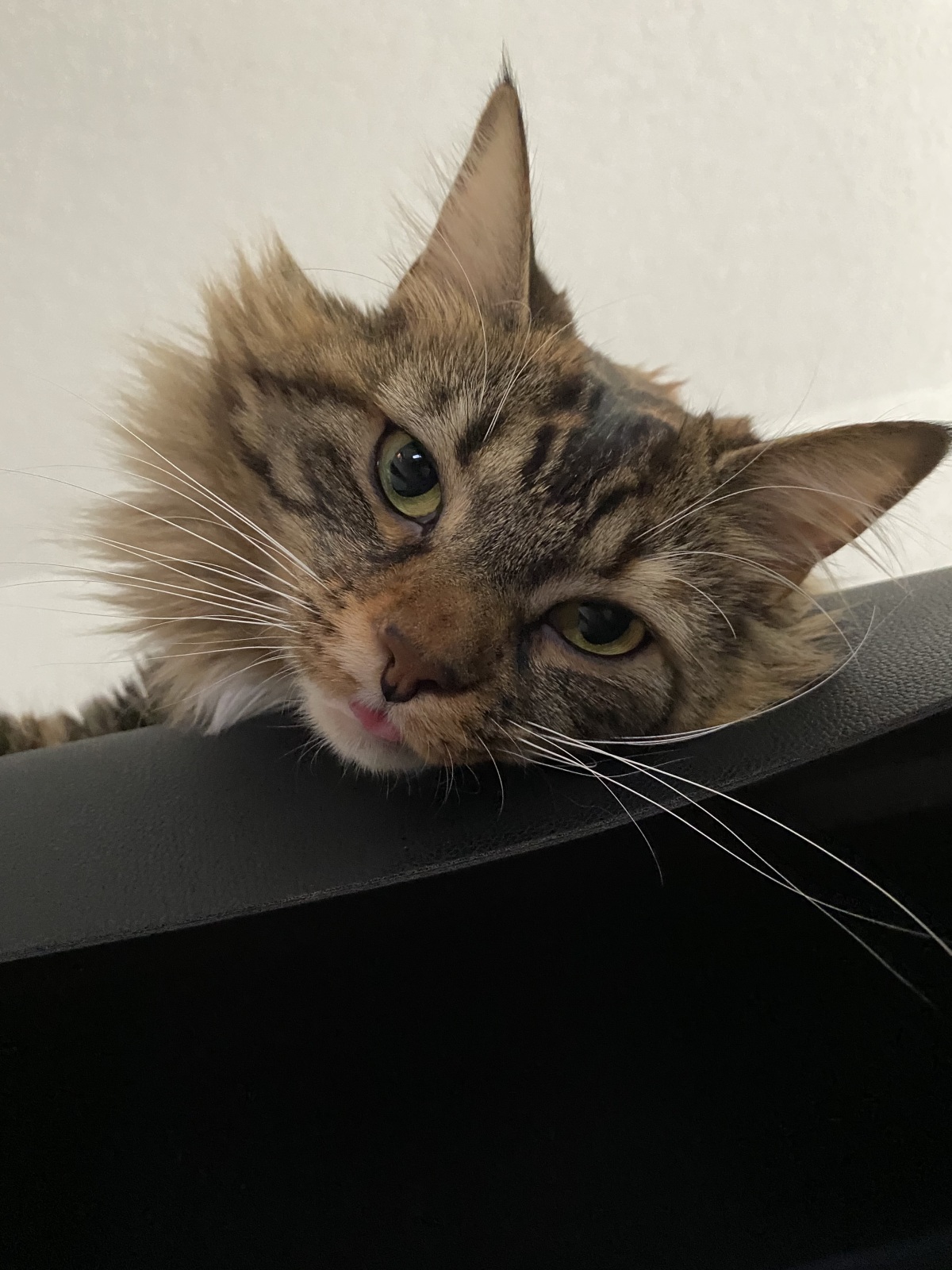 Patty Blepping