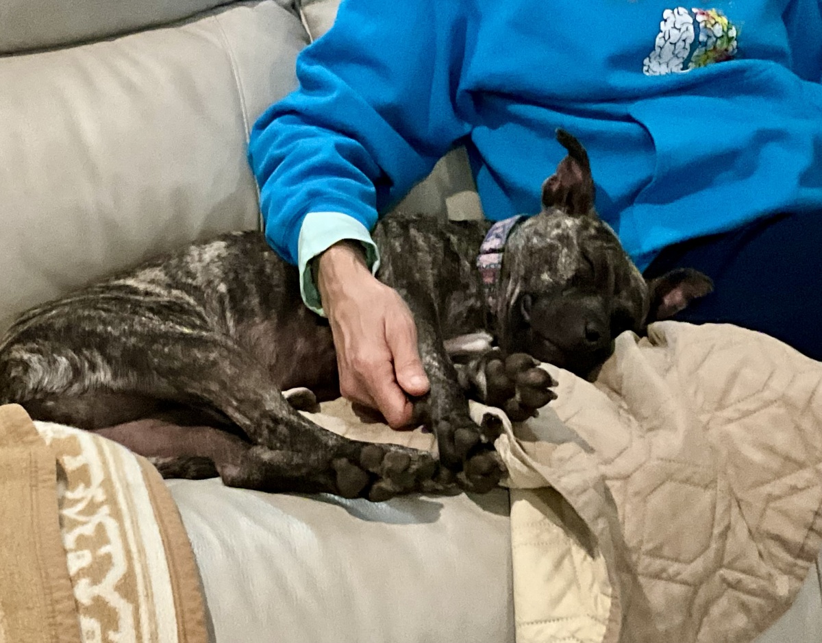 Couch Potato