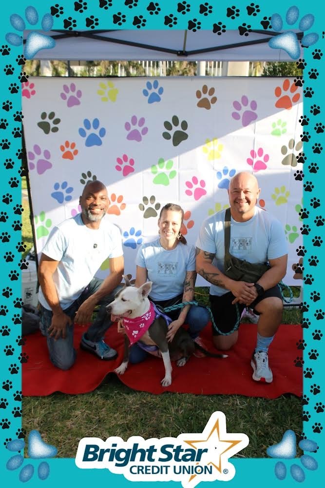 2024 VCA Walk 4 for the Animals