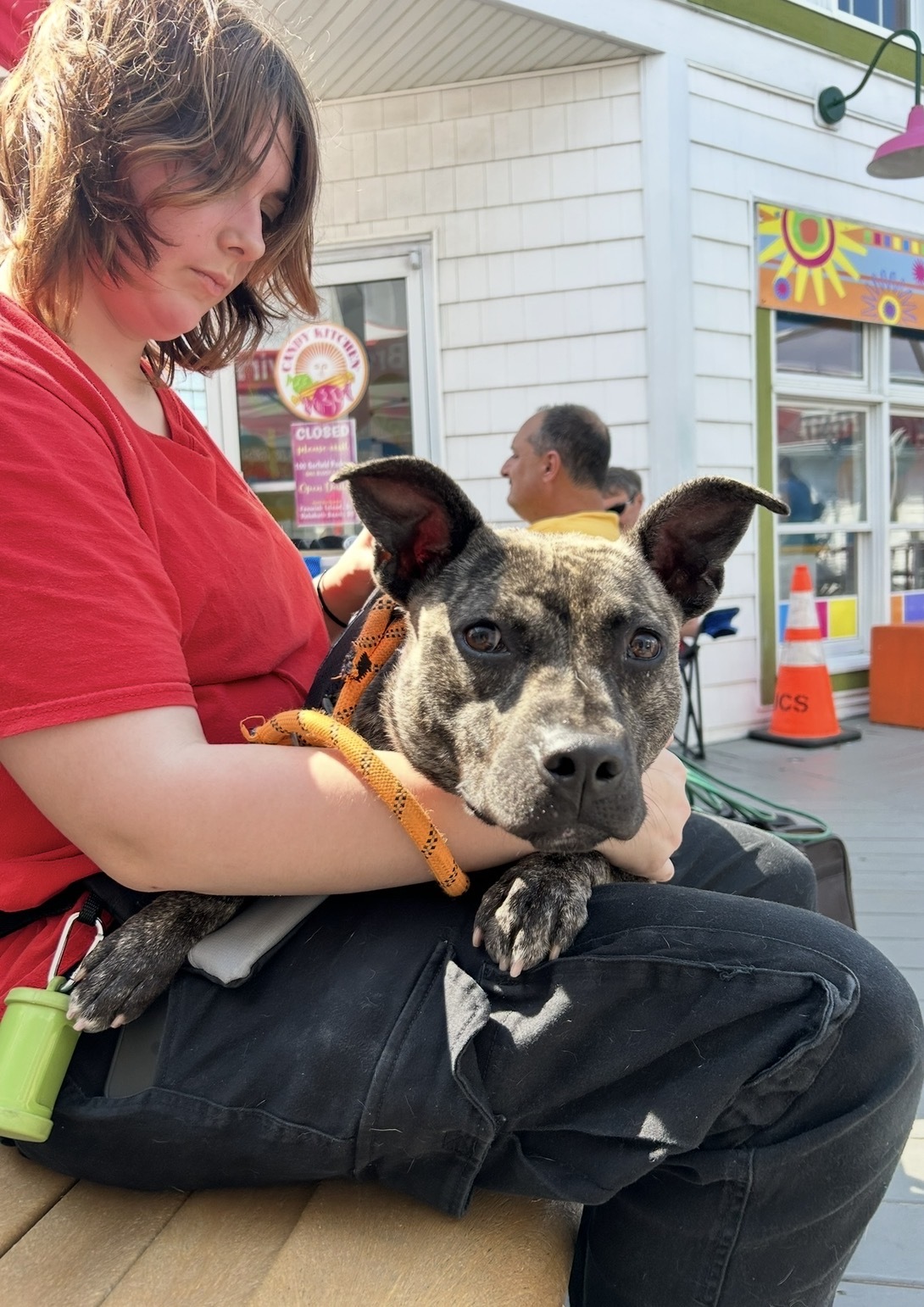 M’Lynn’s First Adoption Event