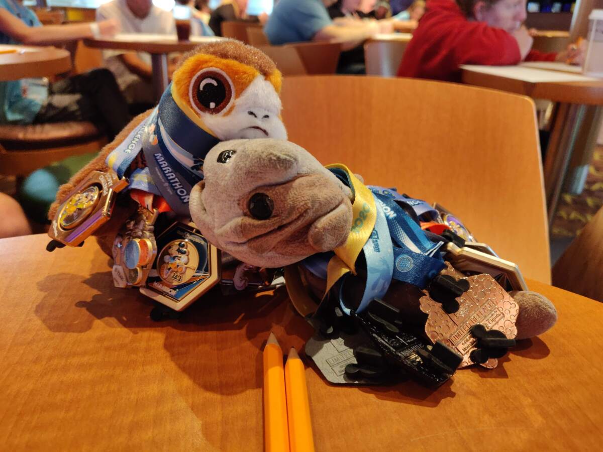 An accurate representation of how you feel post-Dopey