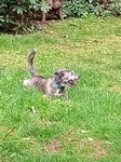 Billy