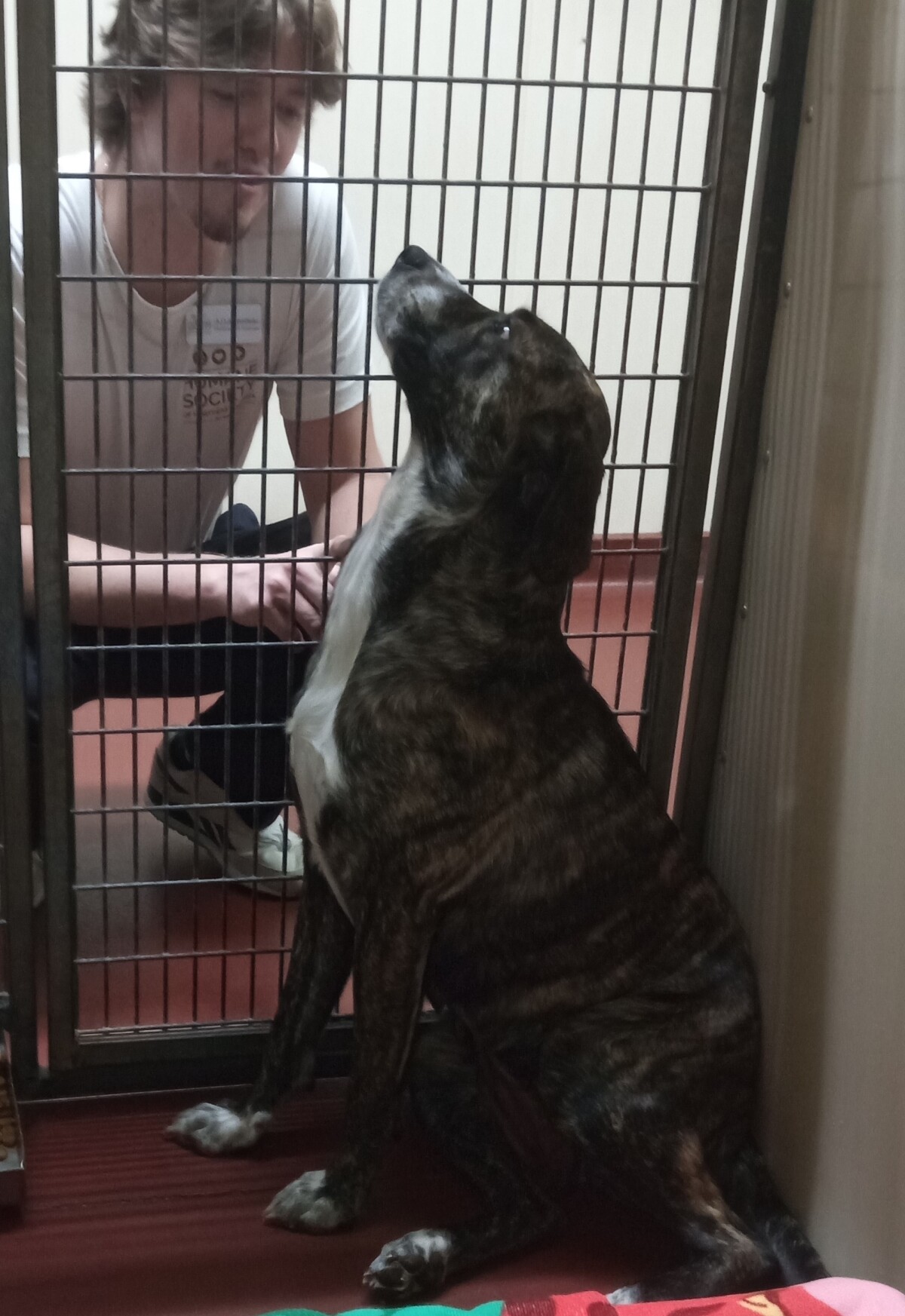 Crackles, my kennel mate