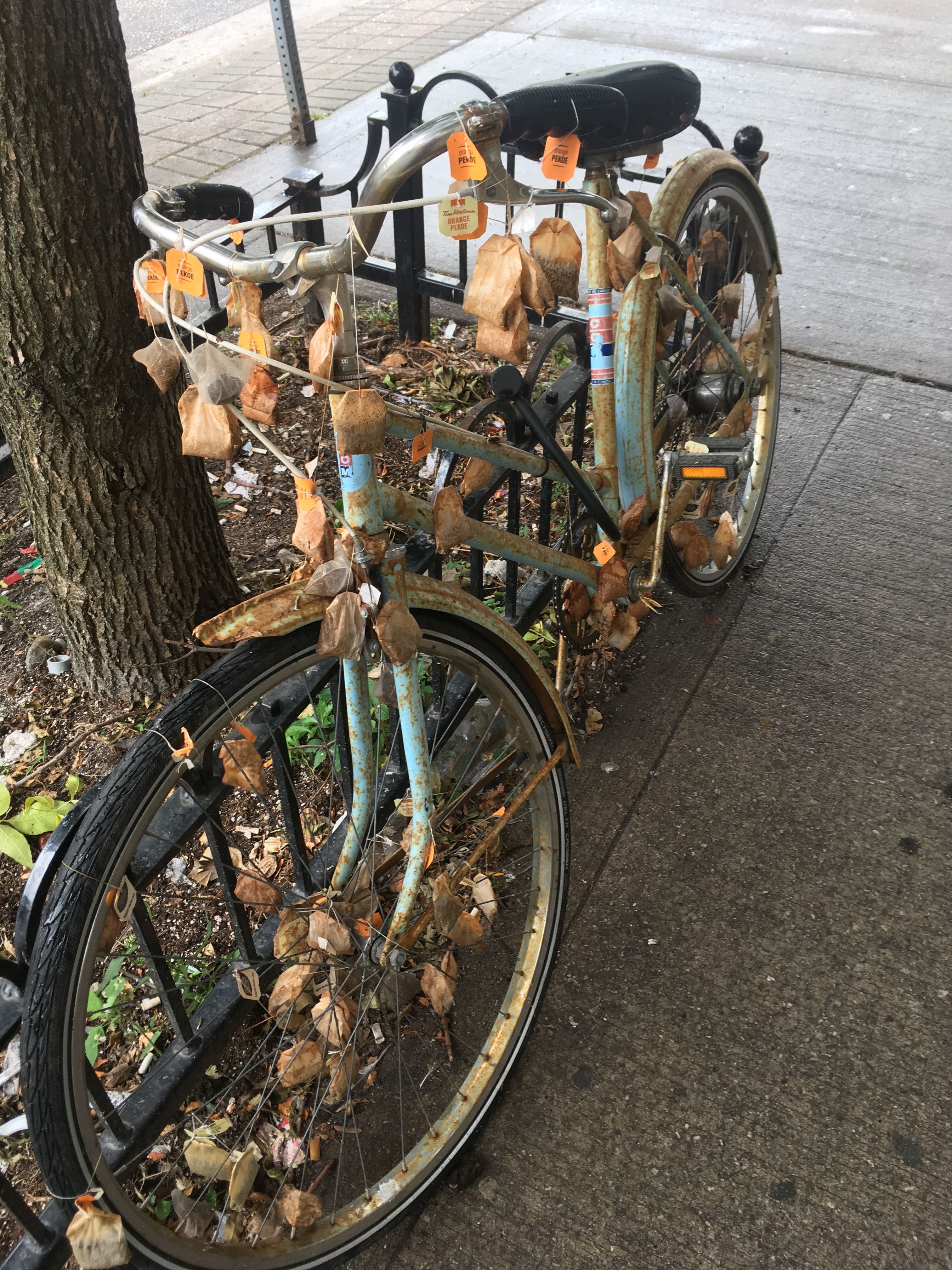 The Tea Bag Bicycle of Montréal