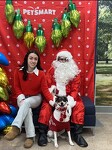 Pictures with Santa 2023!