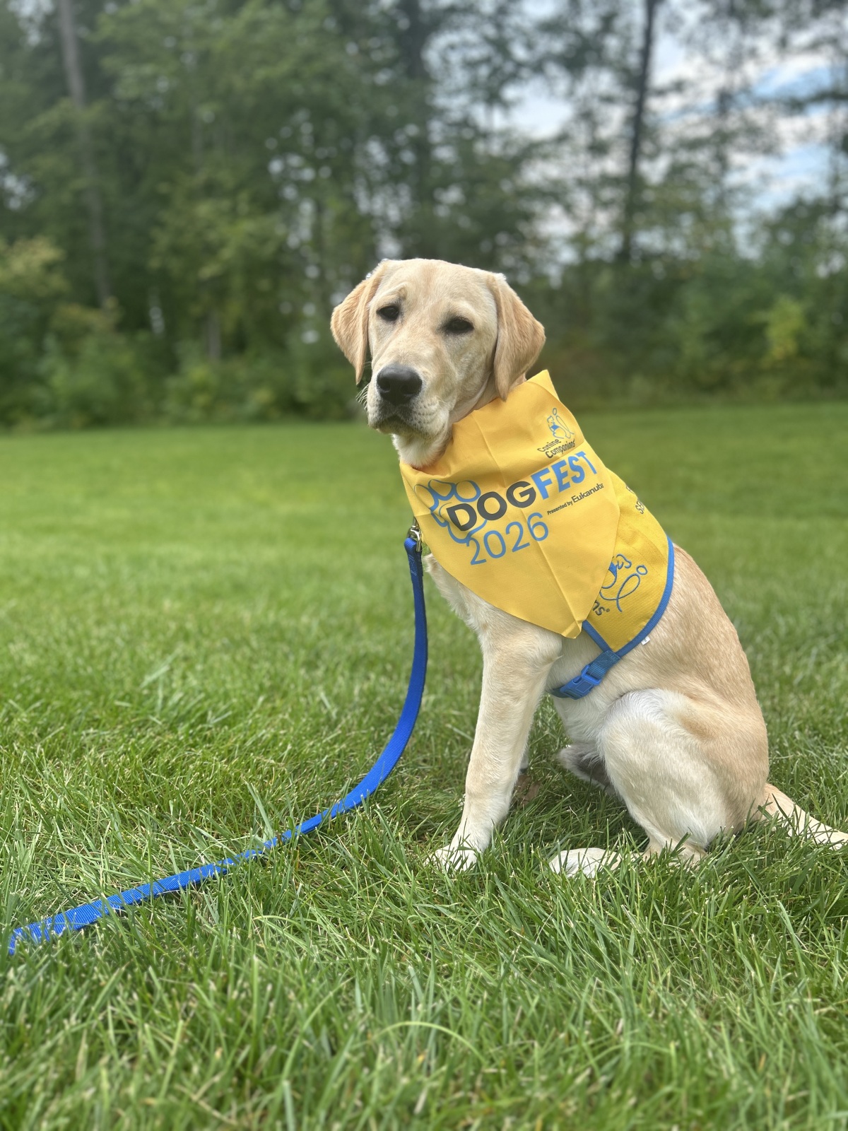 Boone IV wearing DogFest 2026 bandana