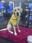 Boone IV in the NBC4 Studios