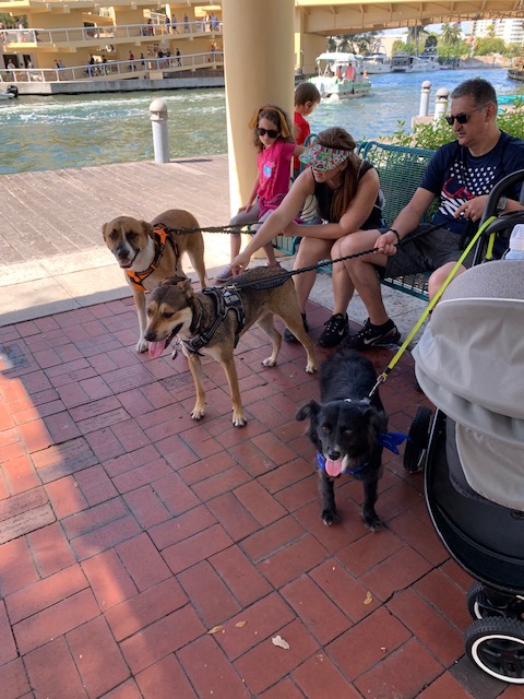 Dakota, Kash and Luna at the 2021 Walk