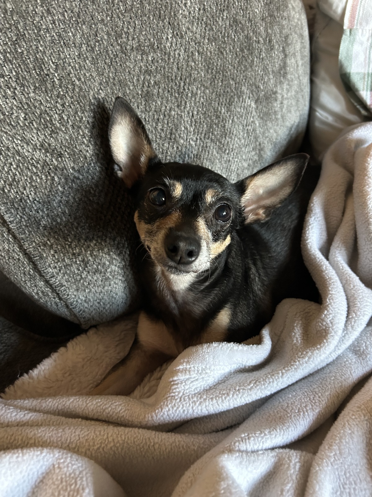 Did somebody say snack time?!