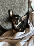 Did somebody say snack time?!