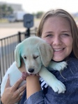 Picking Scout up at the airport!