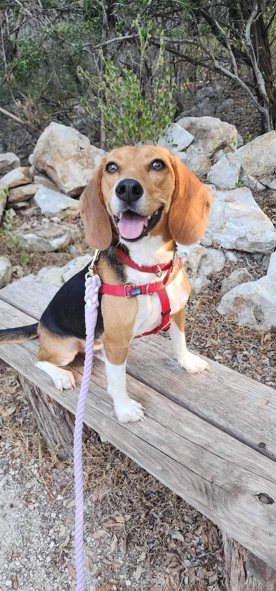 Work Hard, Play Hard